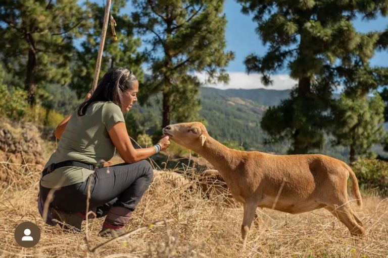 Más pastoreo y menos postureo